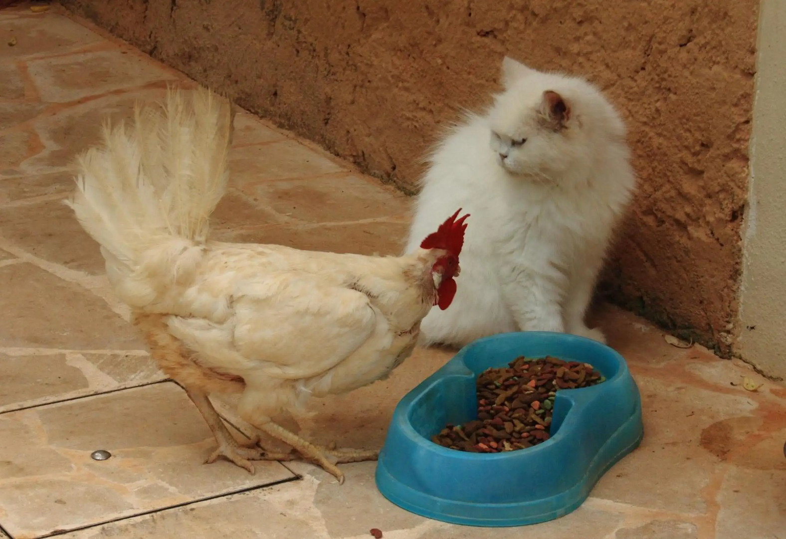 Petit Hotel Es Figueral