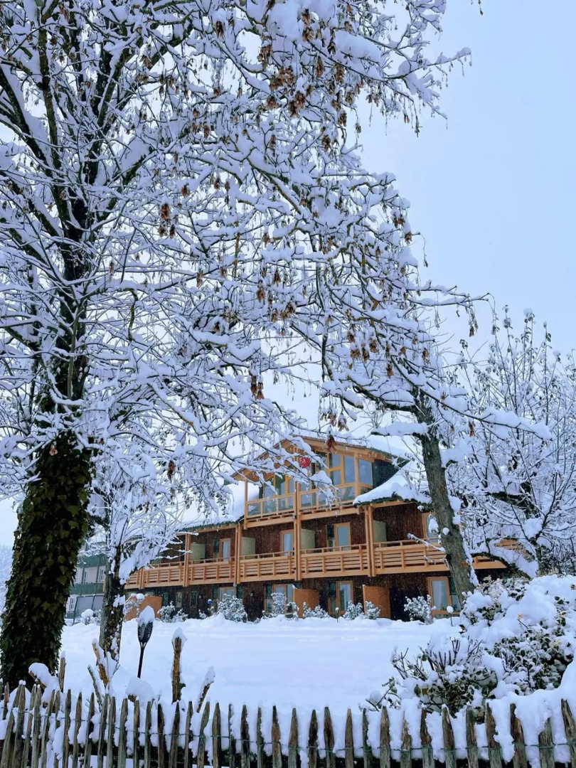 Hotel An Der Brunnader