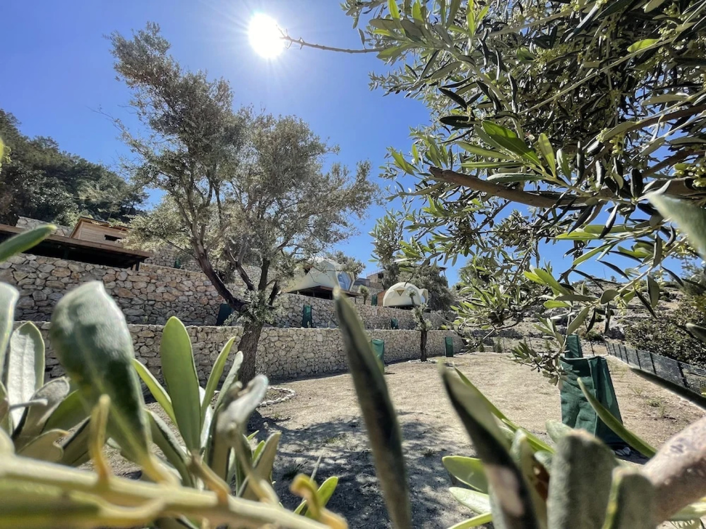 Keşif Zone Eco Resort Retreats