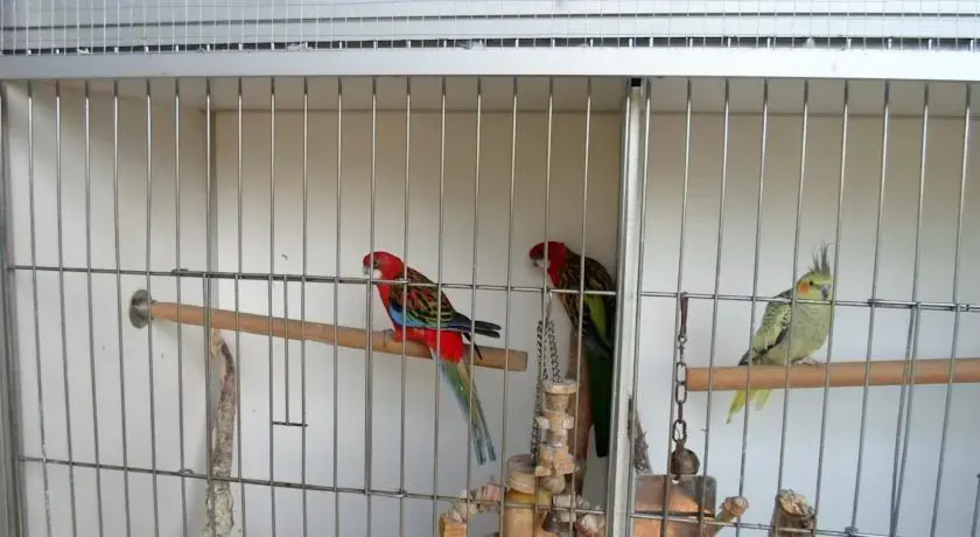 Chambres DHôtes Eléonore