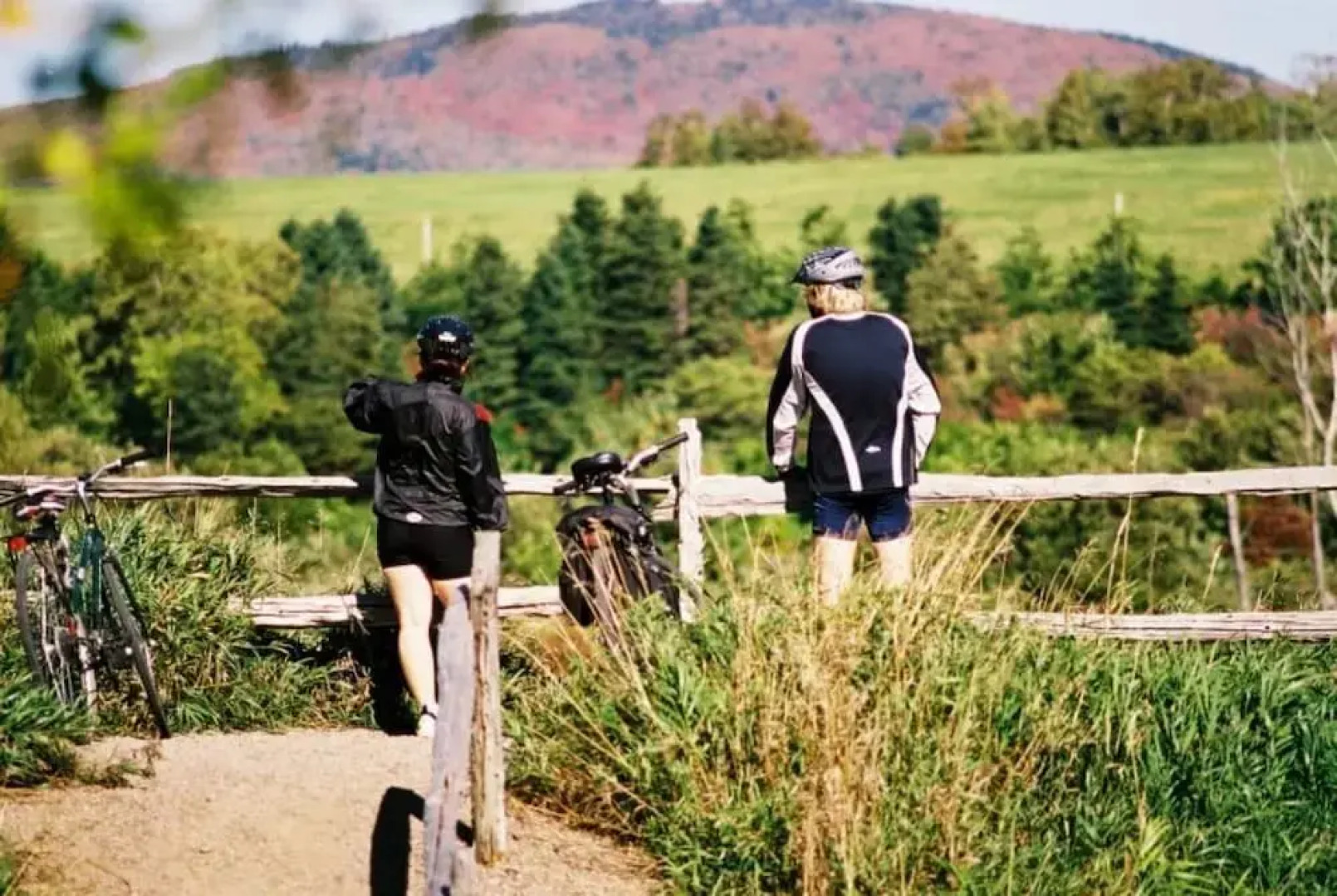 Motel Île d'Orléans