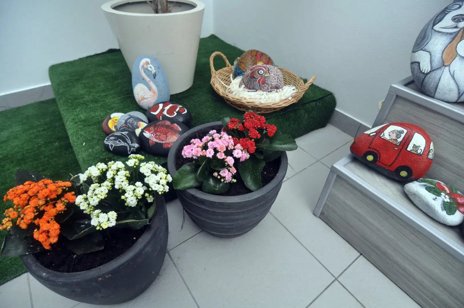 Porto Velho Boutique Lodge