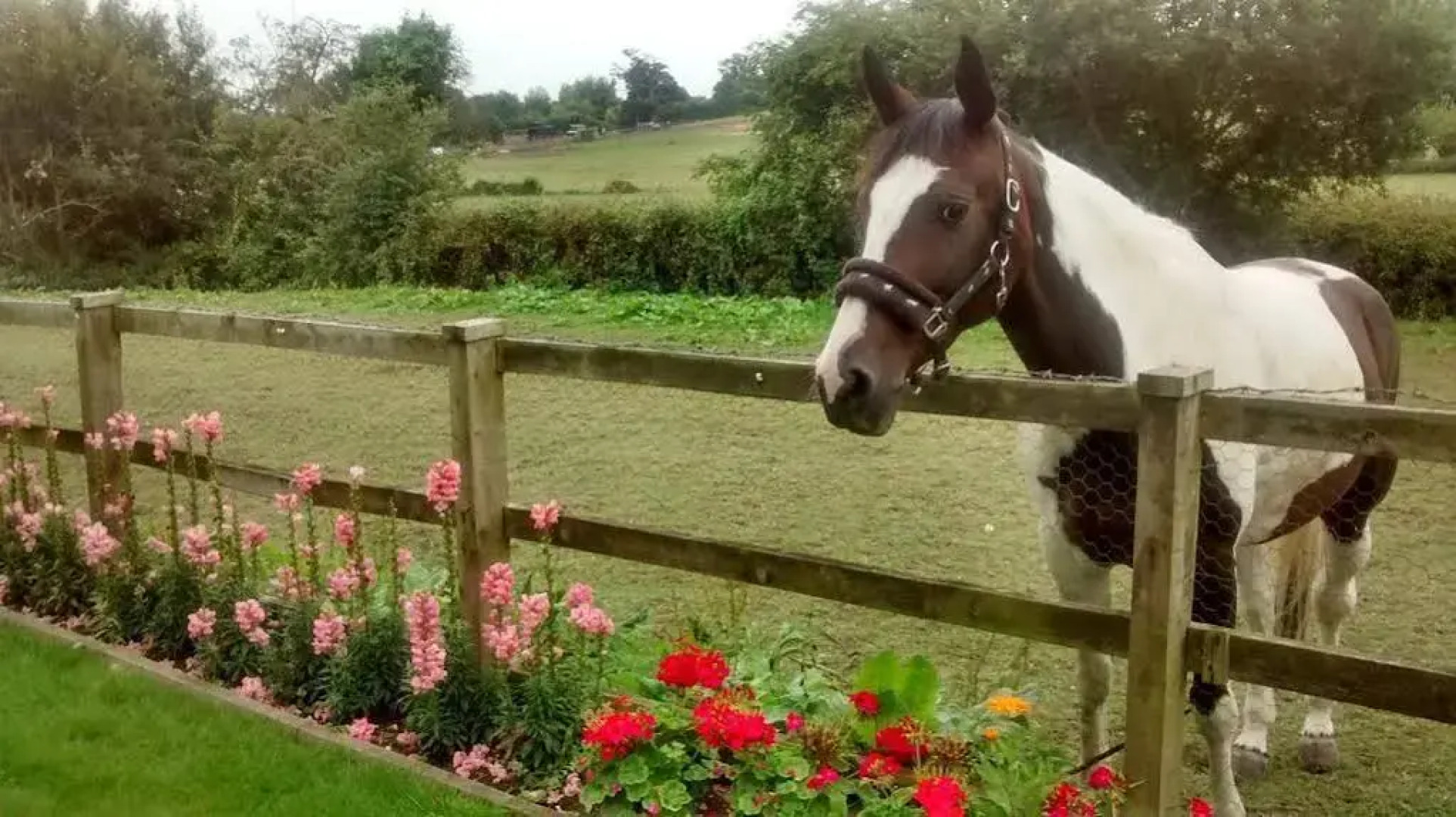 Cripple Creek Bed And Breakfast