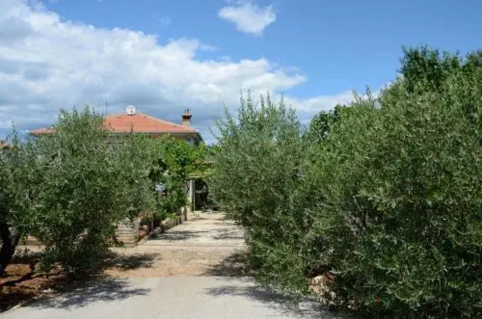 "Andrija" apartements