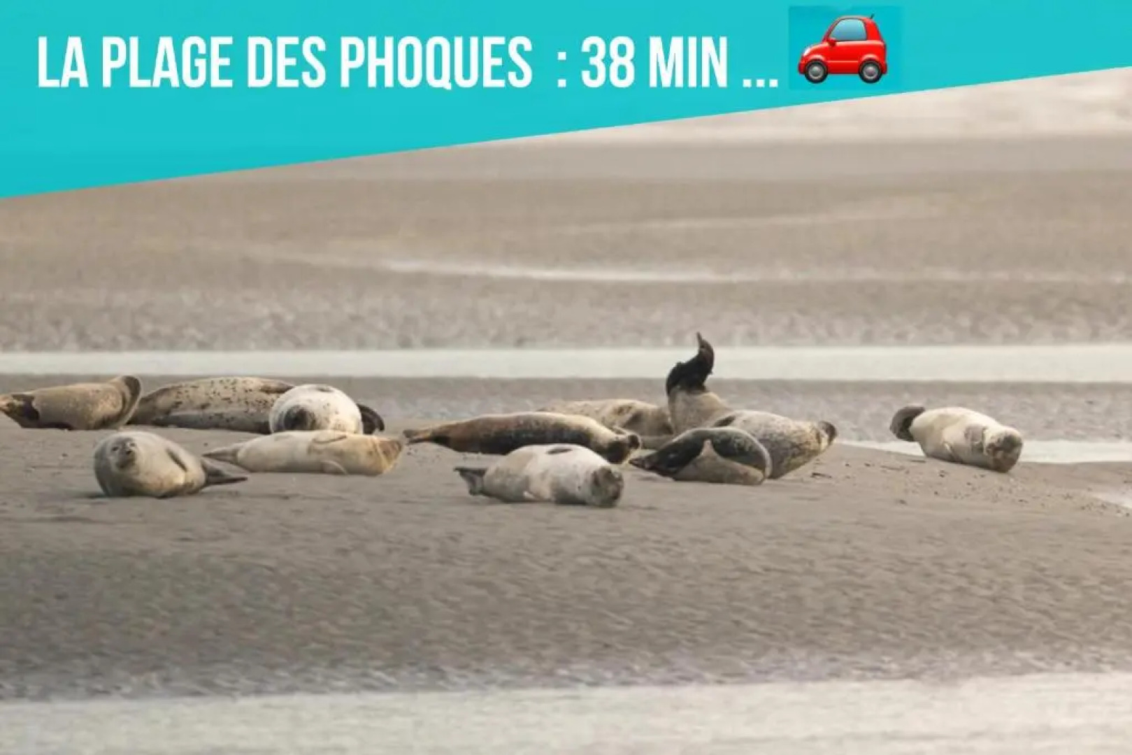 Les Penates de Camiers