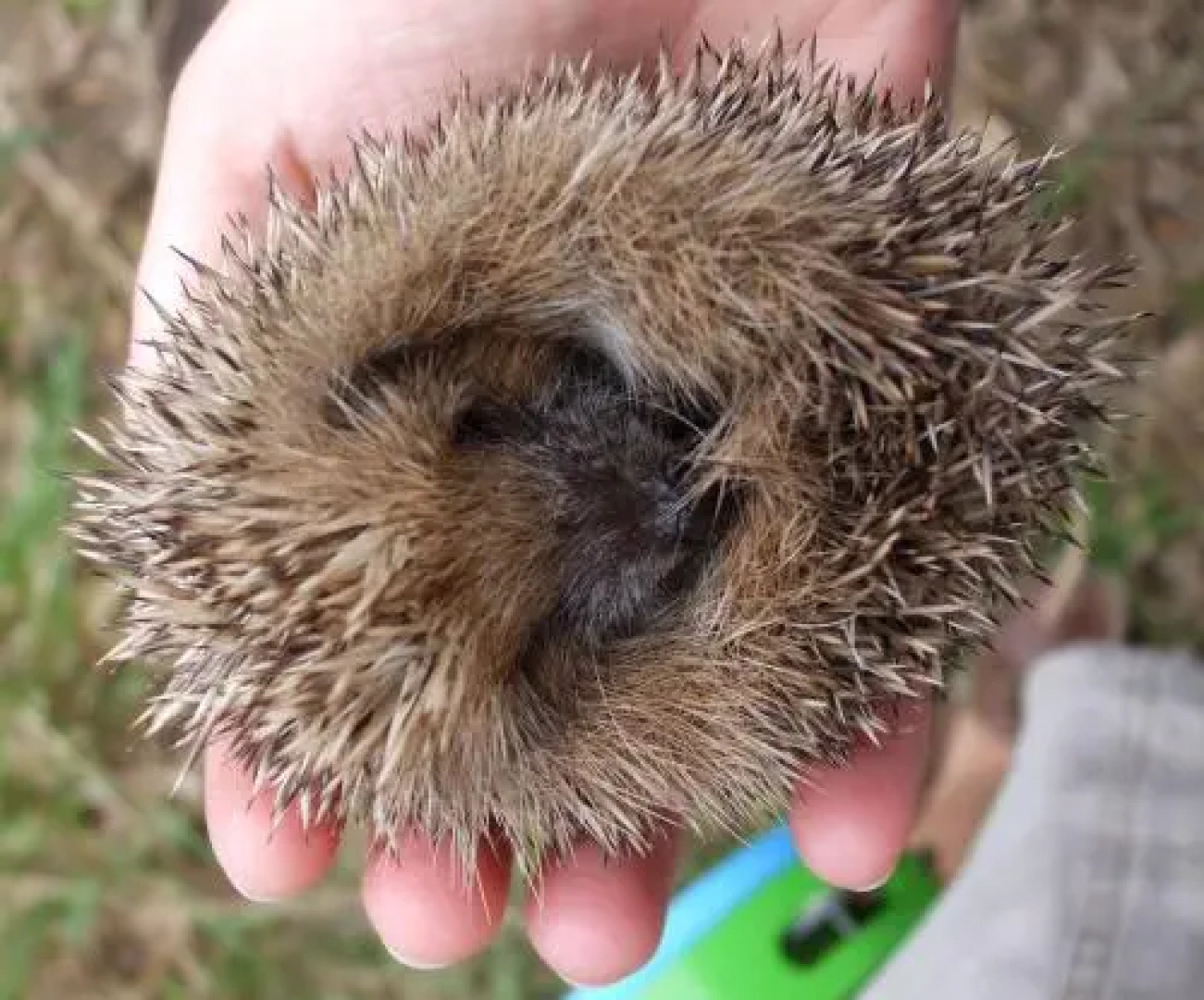 Quinta da Casa Velha Agroturismo