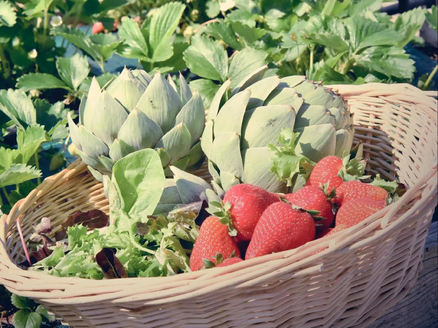 Le Domaine de Baulieu, Singuliers Hotels