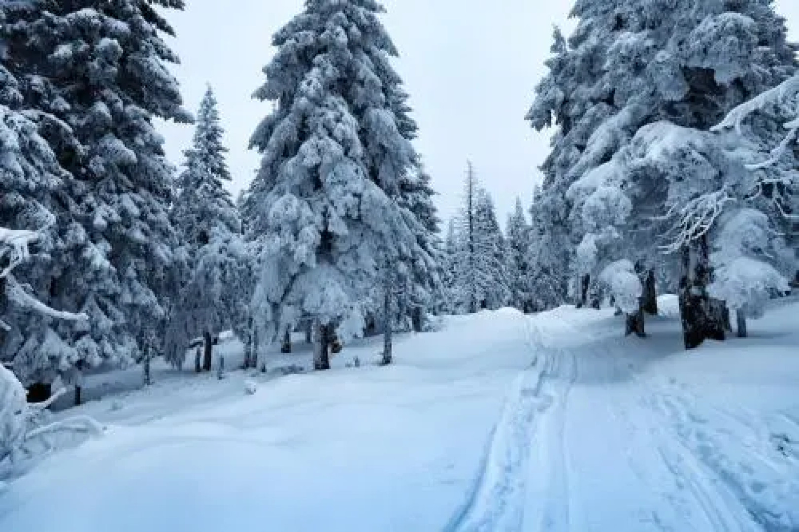 Cihlářka - horský apartmán 103