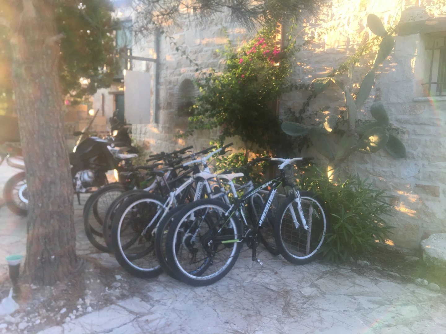 Porta Del Mar Beach Resort