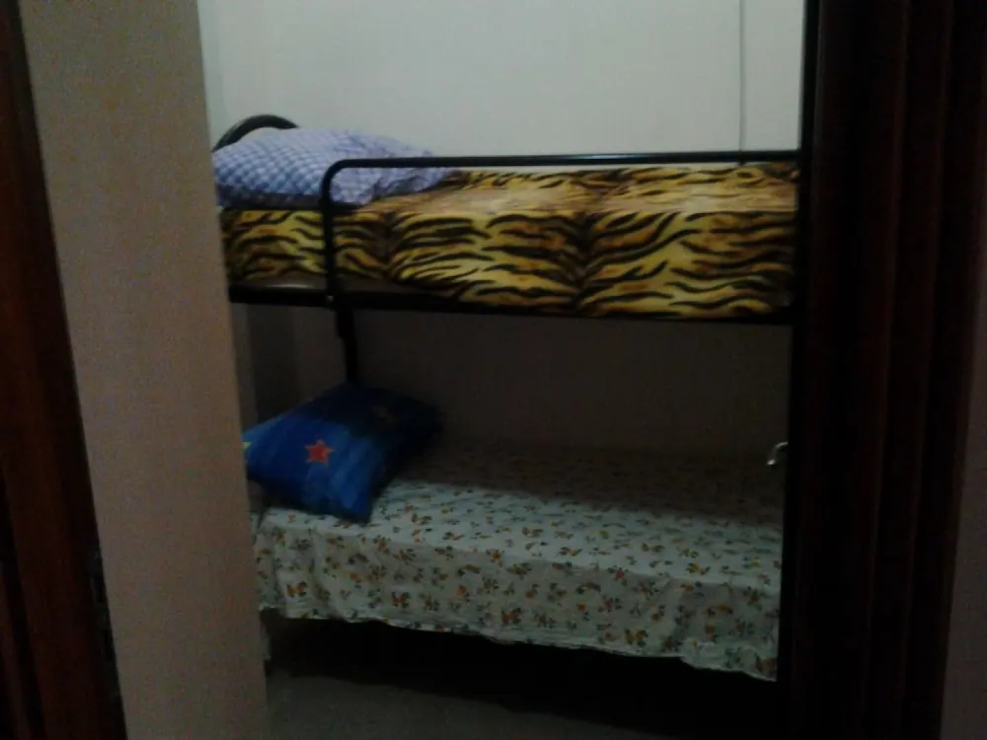 Euthymus Apartment Calabria- Jasmine Coast