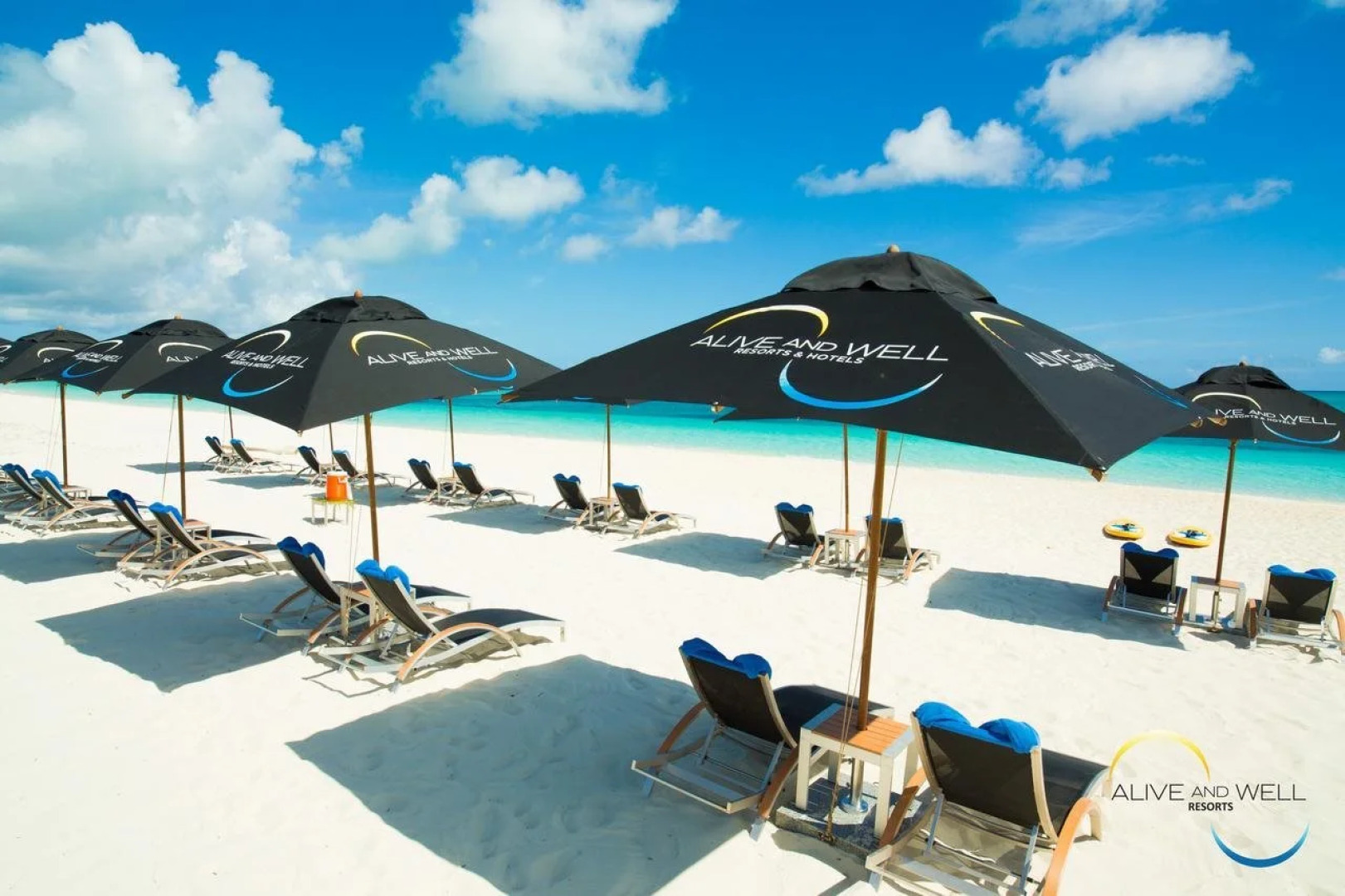 One On Marlin – Adults Only