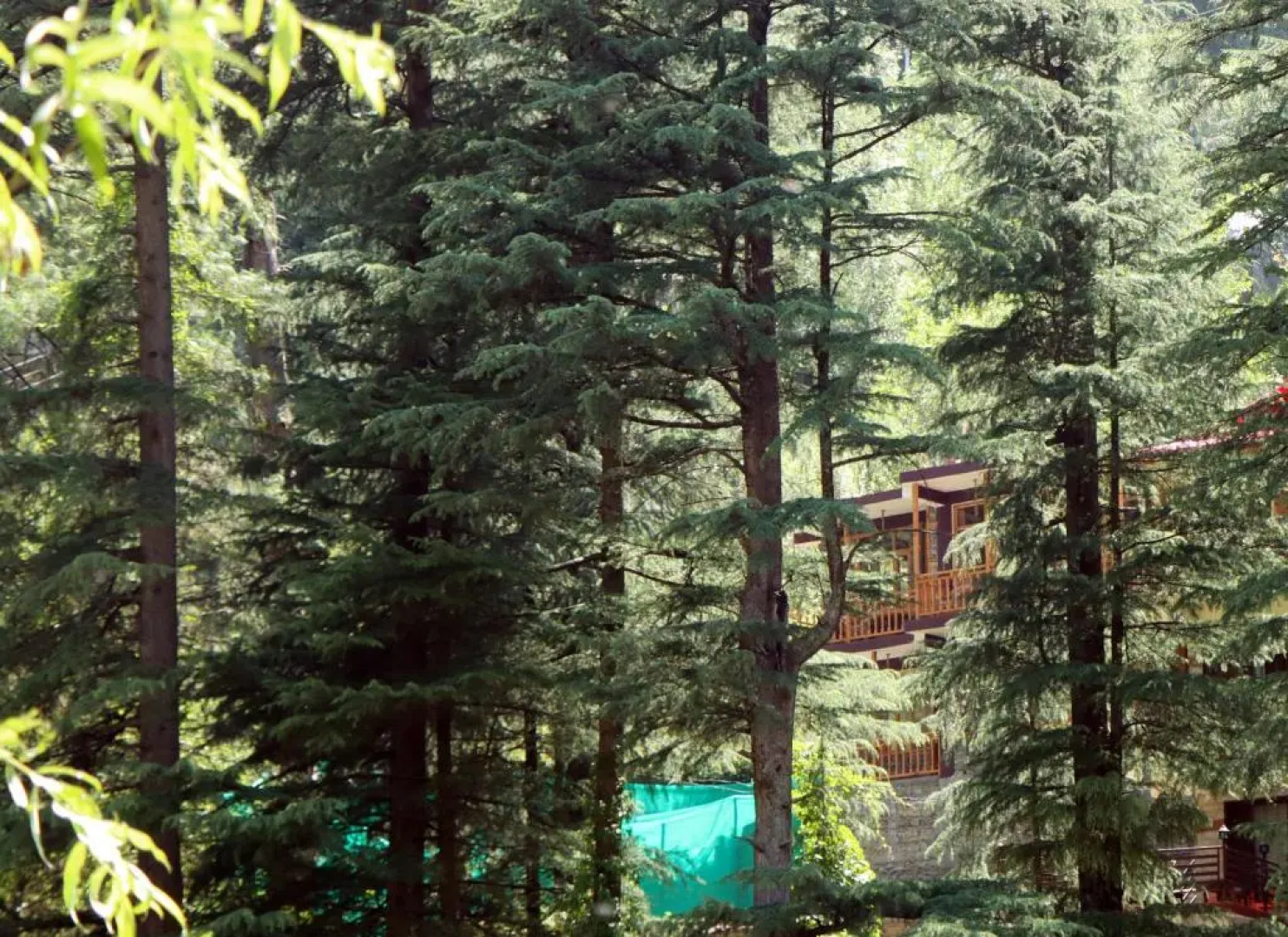 The Himalayan Heaven