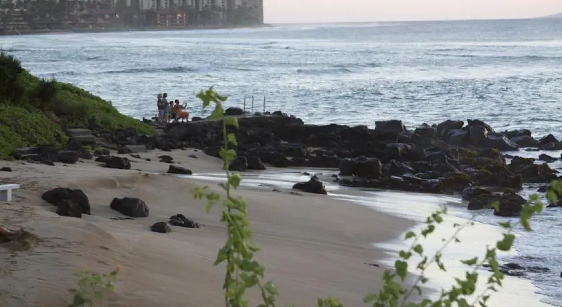 Polynesian Shores #126