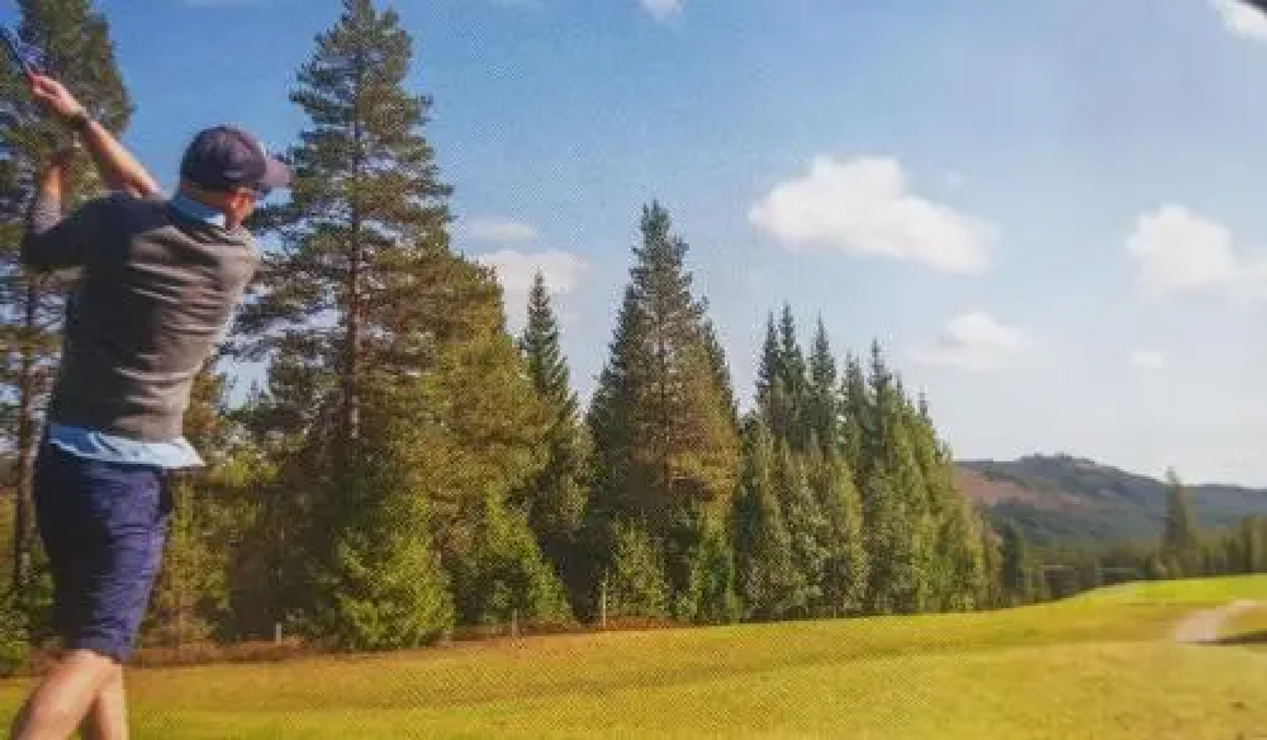 Solbjørnlia Apartments