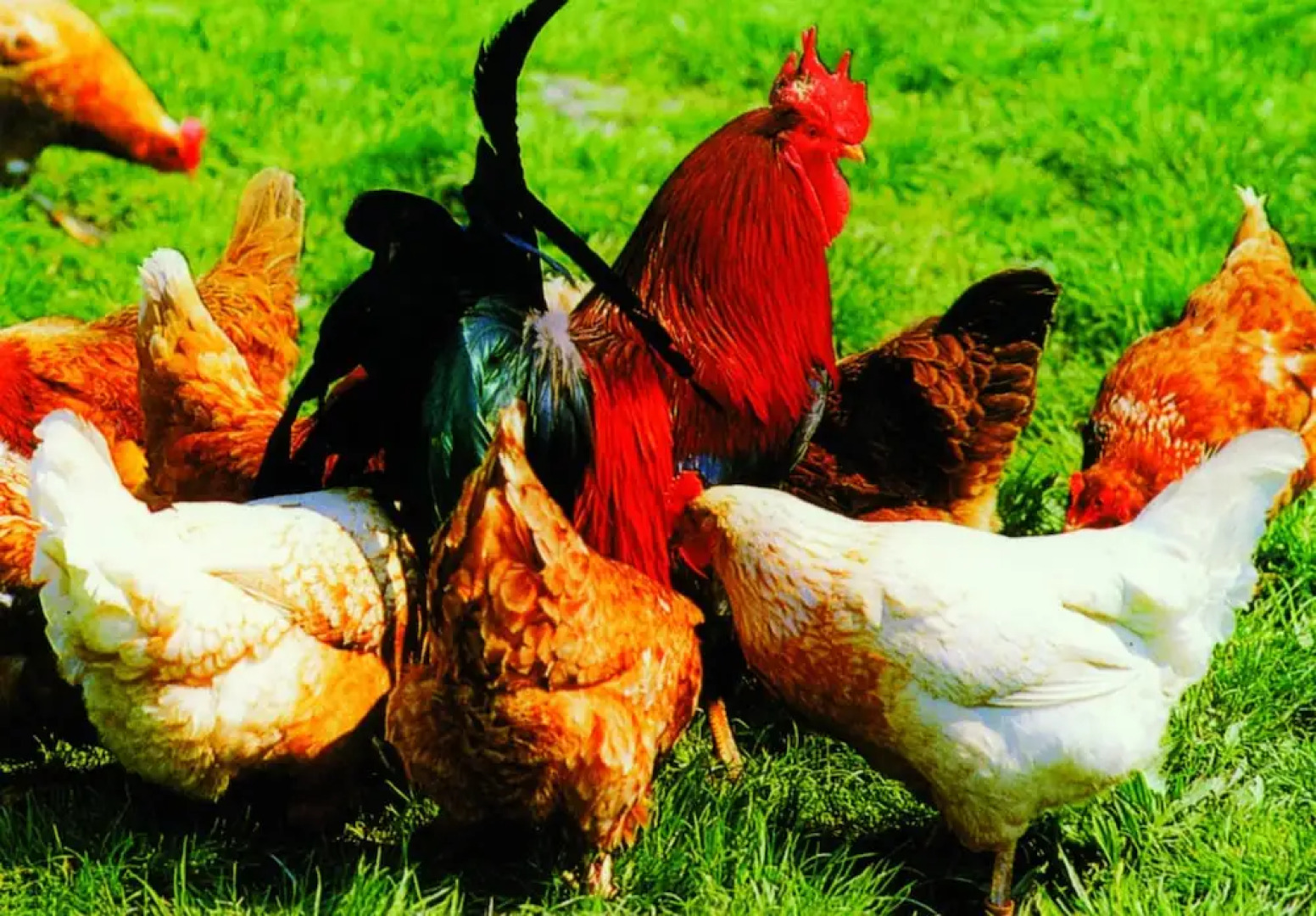 Landpension Haus Ruth