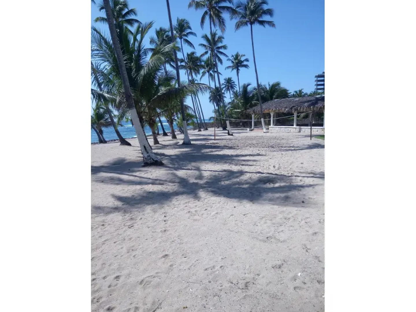 PTV Apartamentos en Albatros