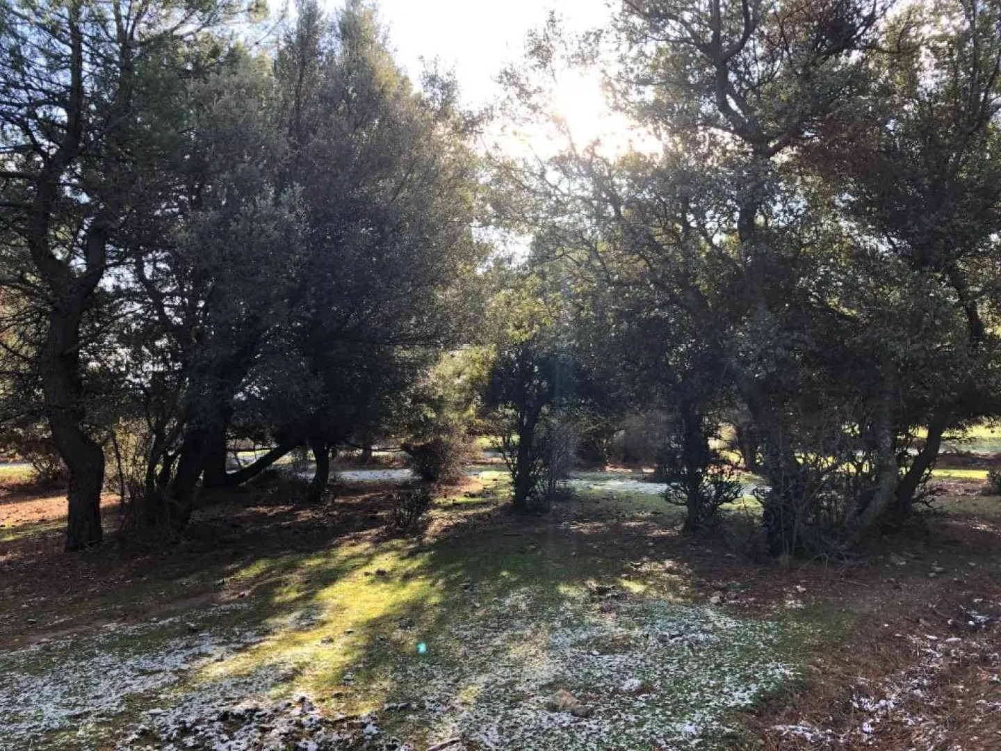 La Olma Apartamentos