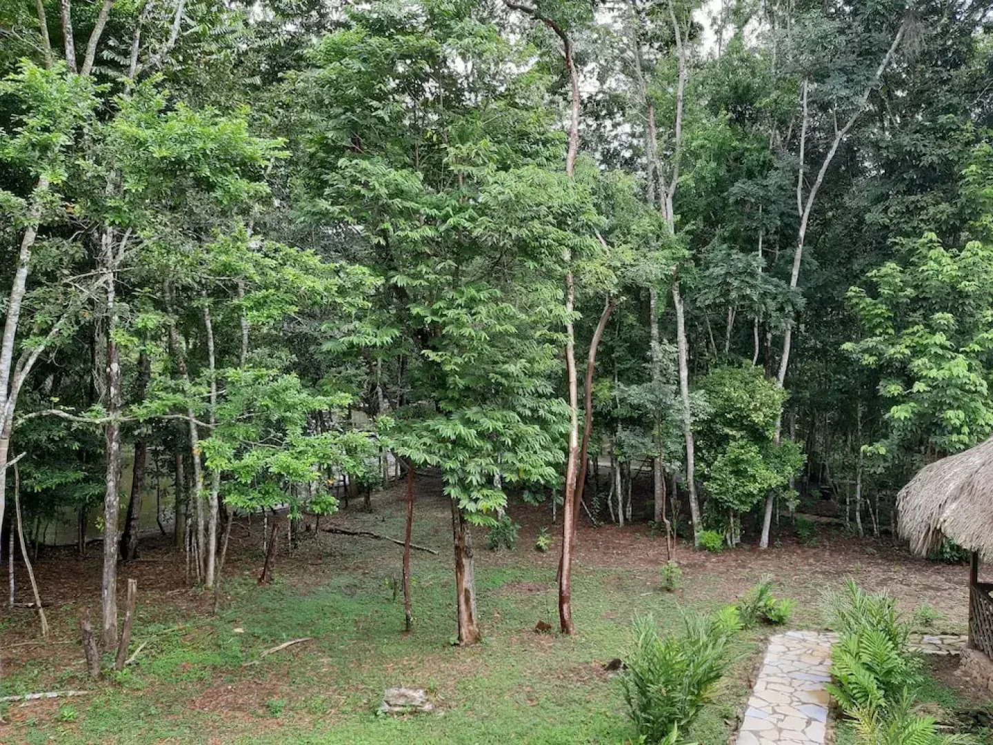 Campamento Lacandones