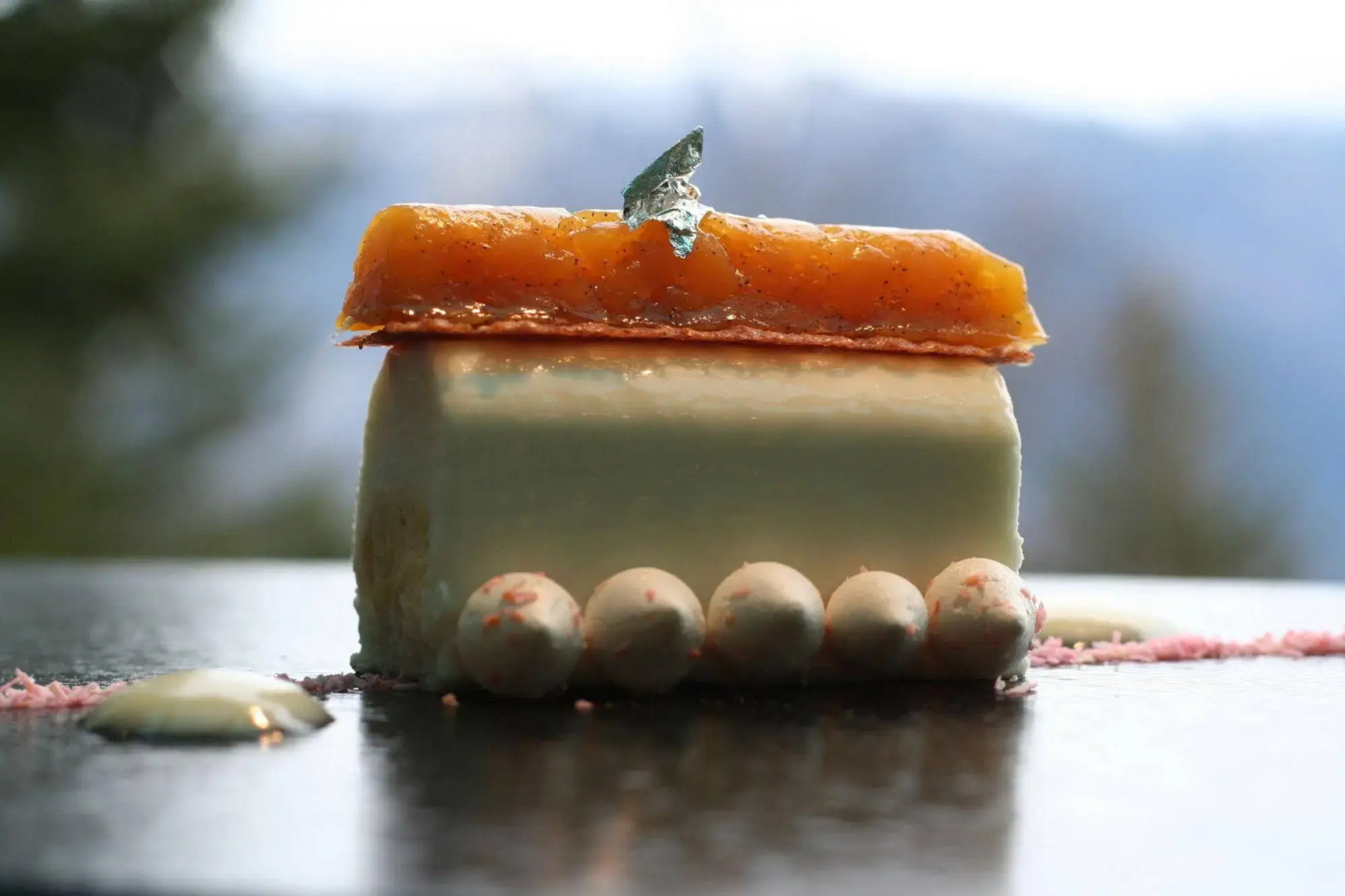 Hôtel le Mont Paisible