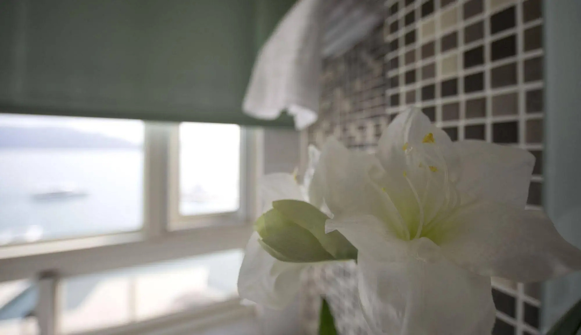 Spa Home Sun Moon Lake Luxury Lakeside Hotel