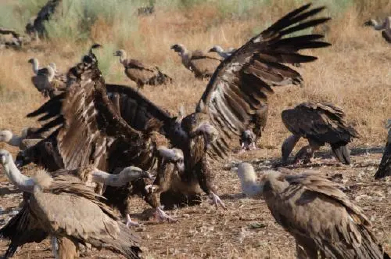 Casa Rural la Cañada