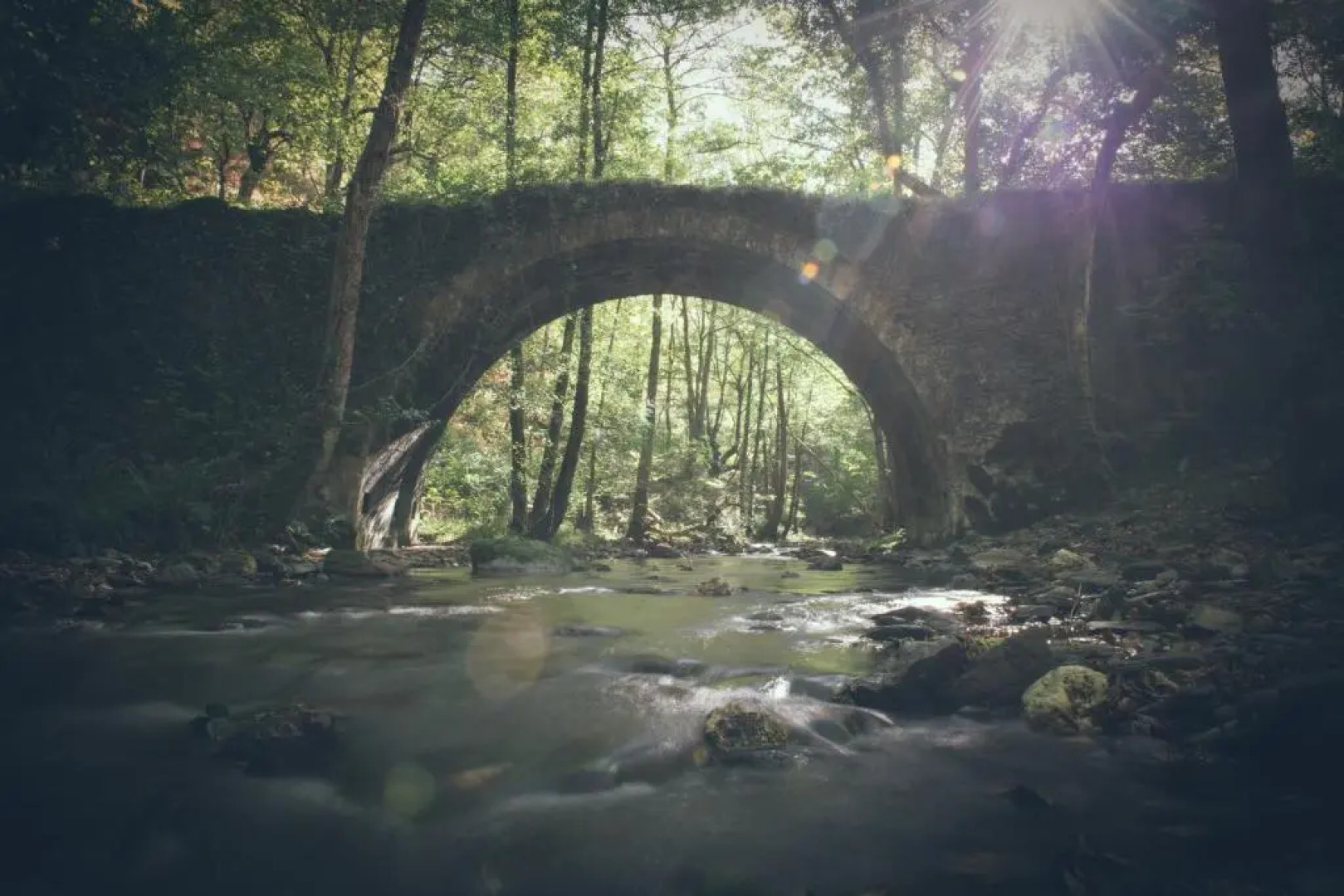 Olagaraia - Adults Only