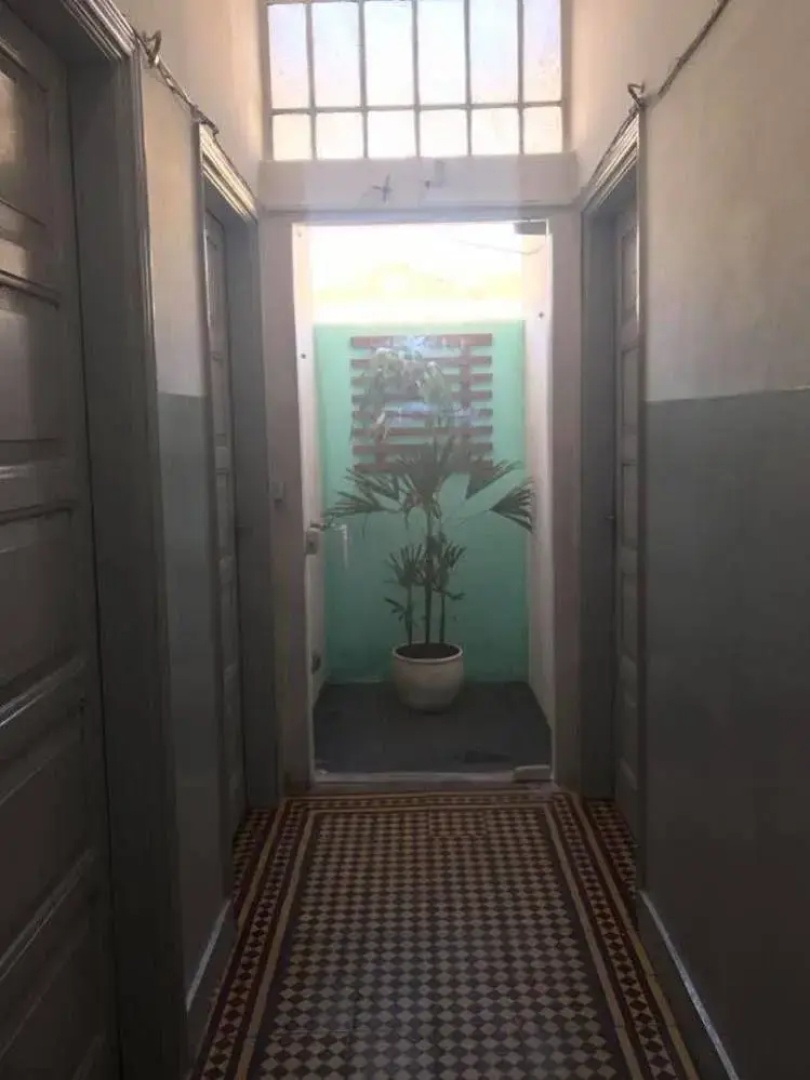 Hotel Avenida