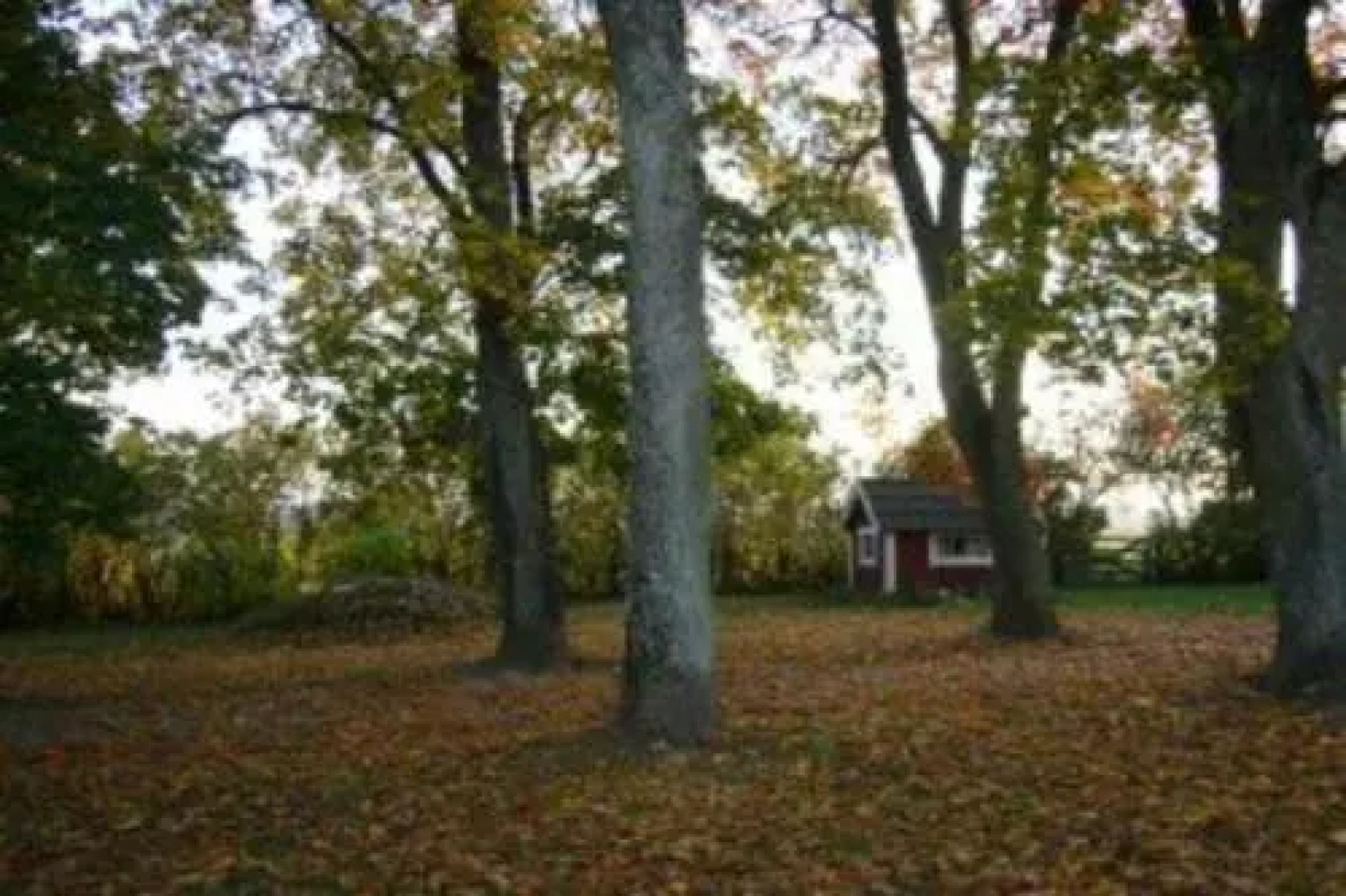 Hästen och Hunden B&B