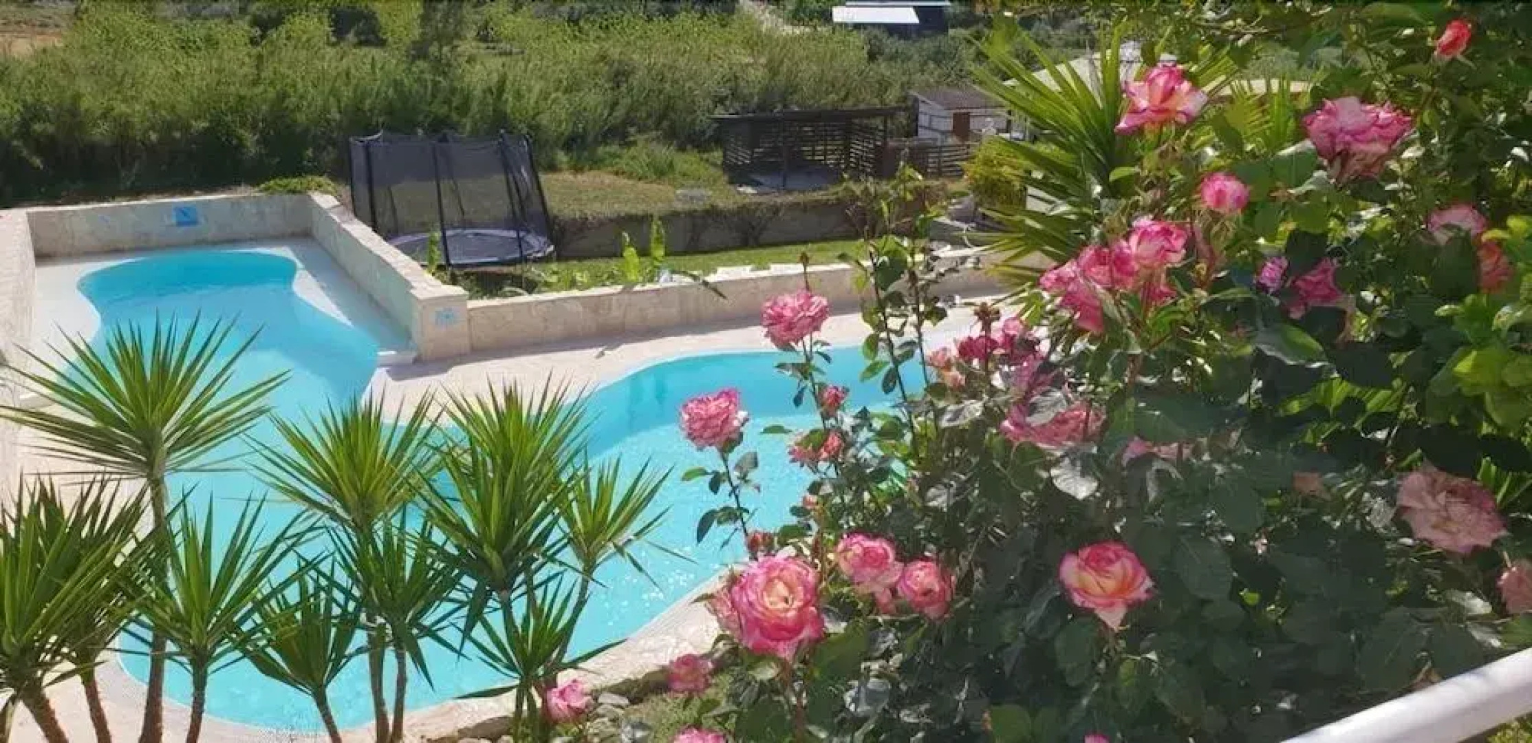 B&B Finca La Luna Azul