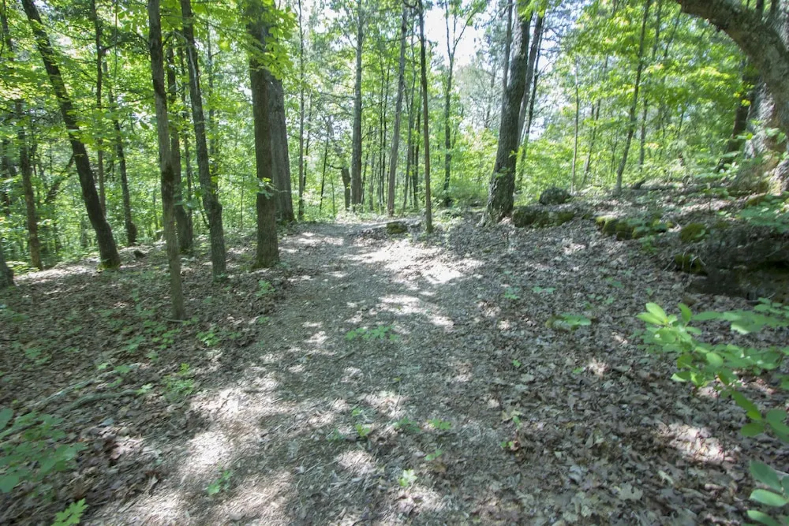 Turtle Ridge 5 Bedrooms 4.5 Bathrooms Home