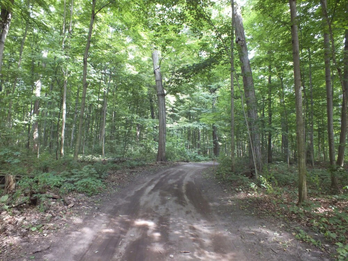 Sandbanks Summer Village Cottages