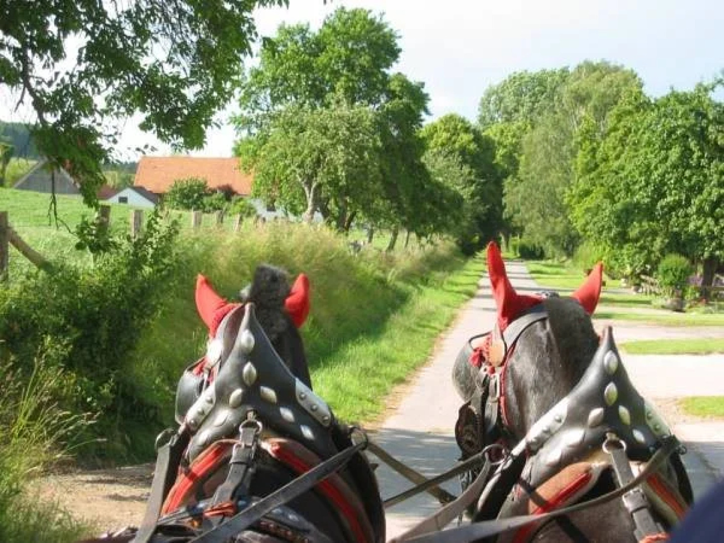 Hotel & Restaurant - Gasthaus Brandner