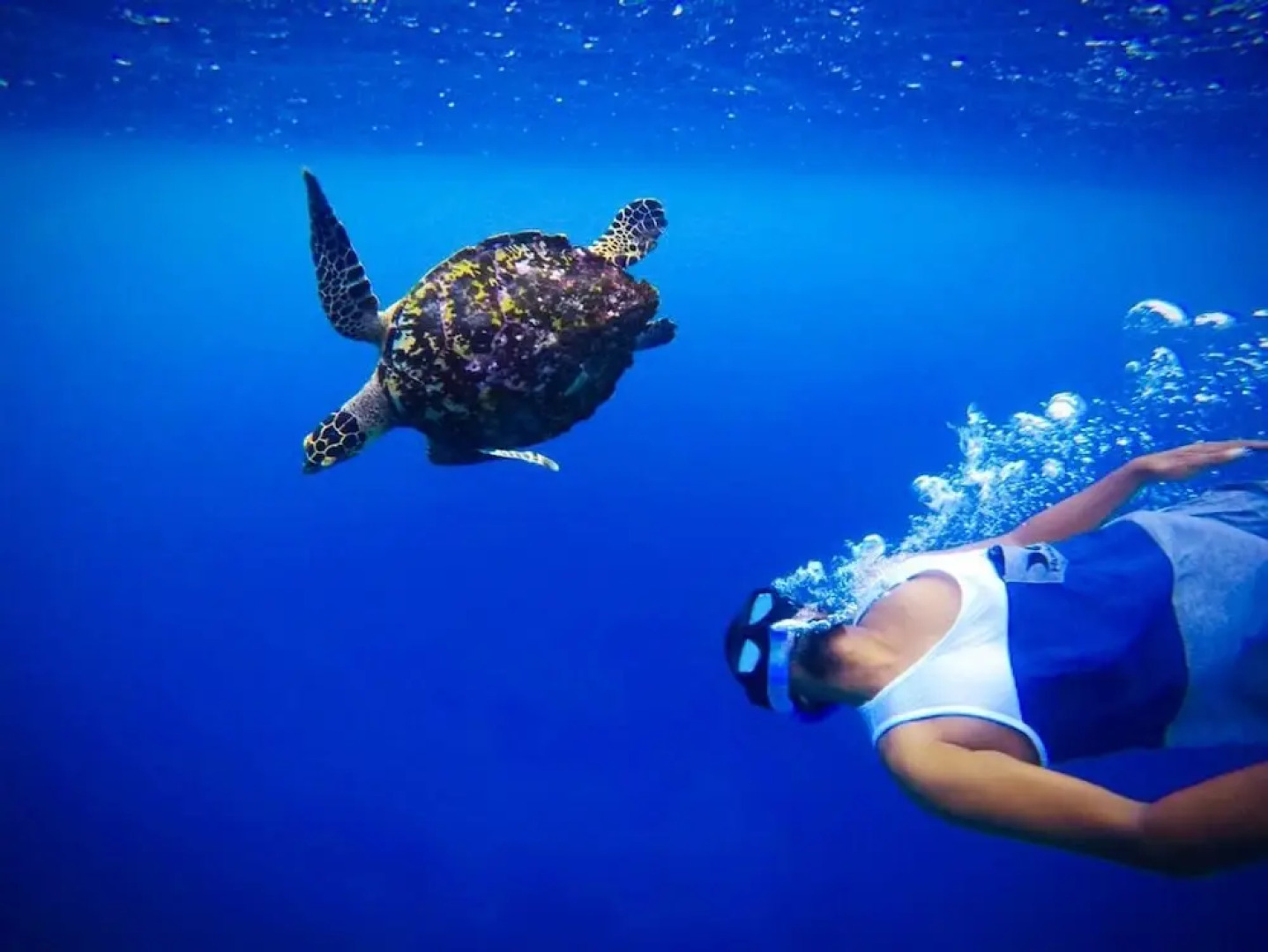 Mariana Inn Maldives