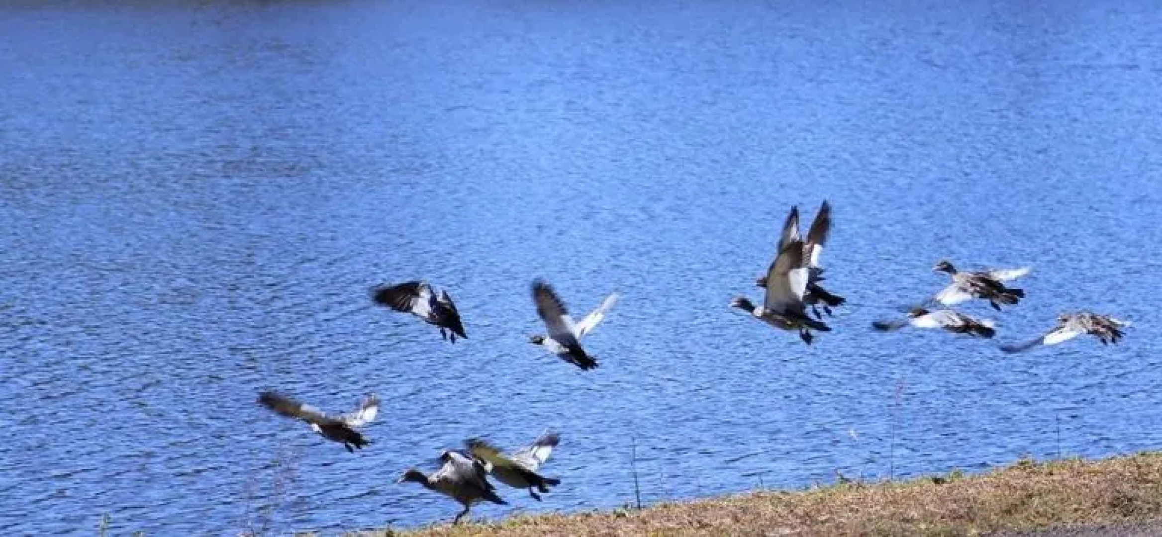 St Allard Eco Resort