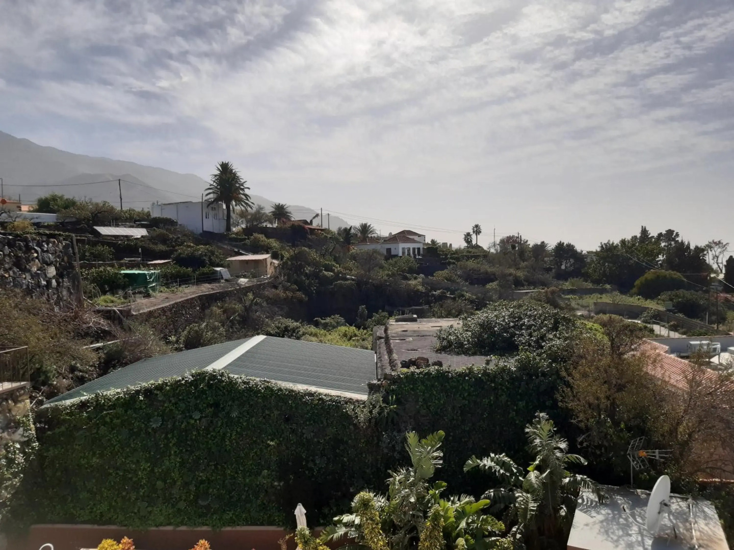 Apartamentos Dos Palmas