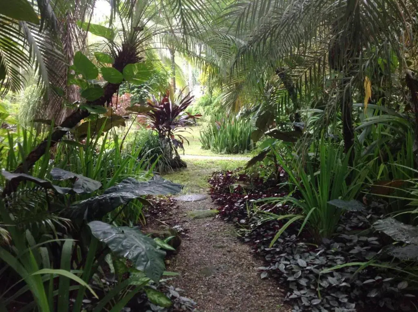 Piscina Natural on the Sea