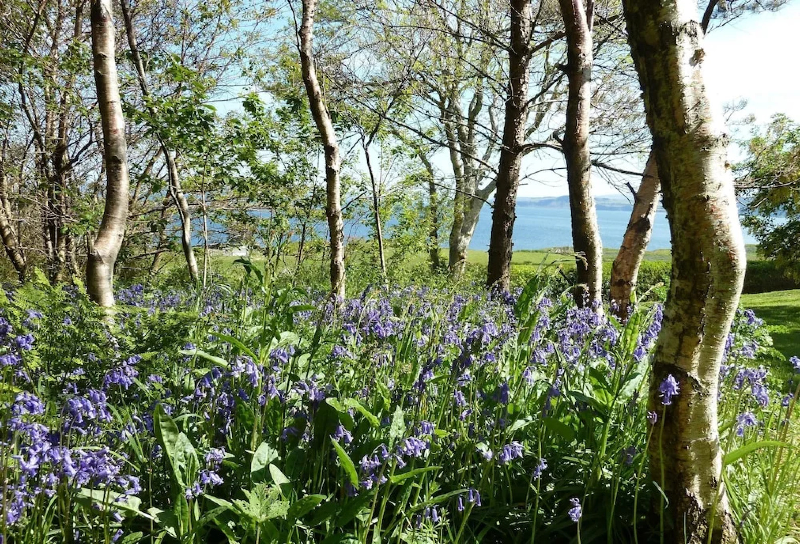 Steading Holidays - Ceol na Mara