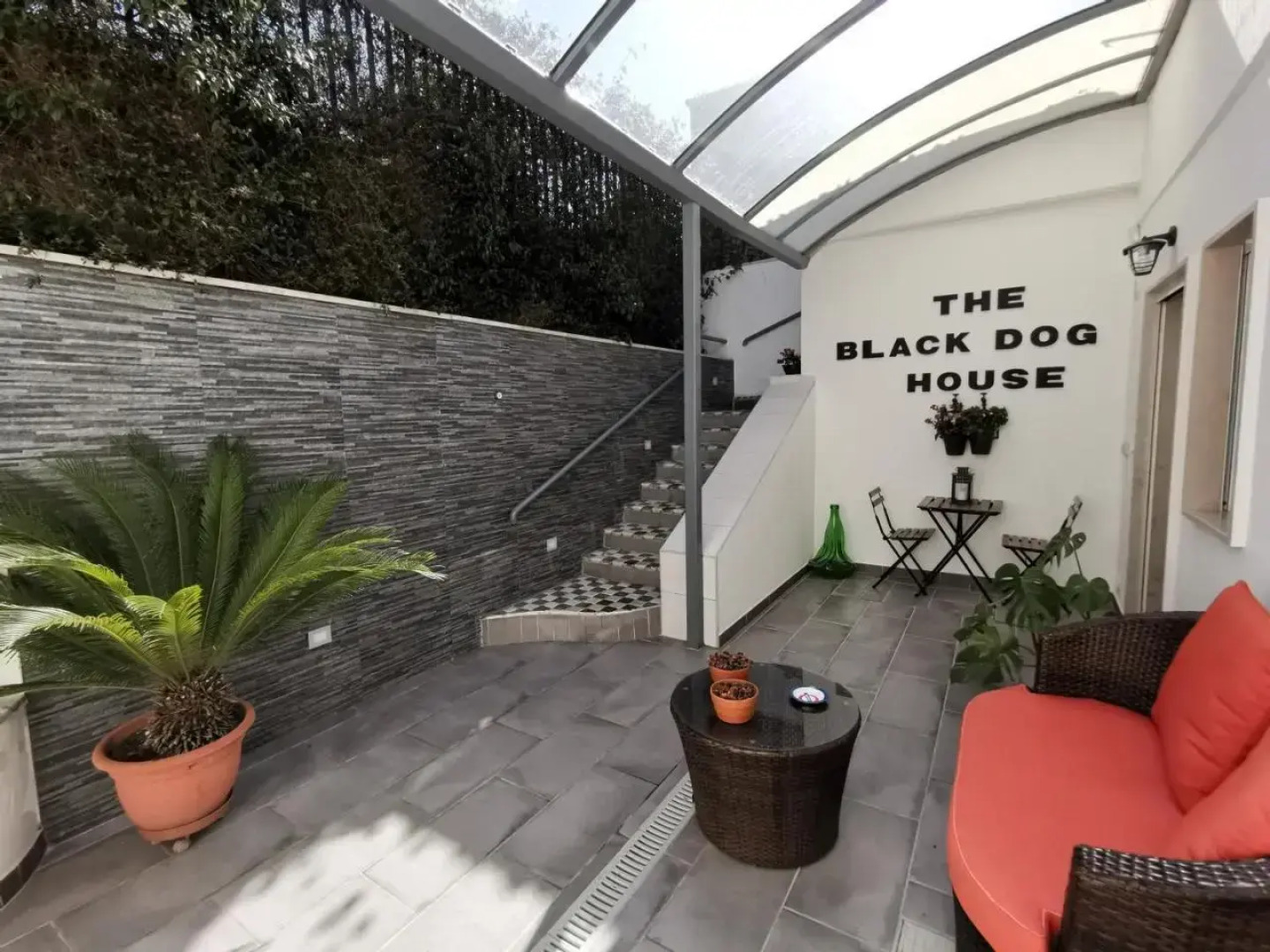 The black dog house