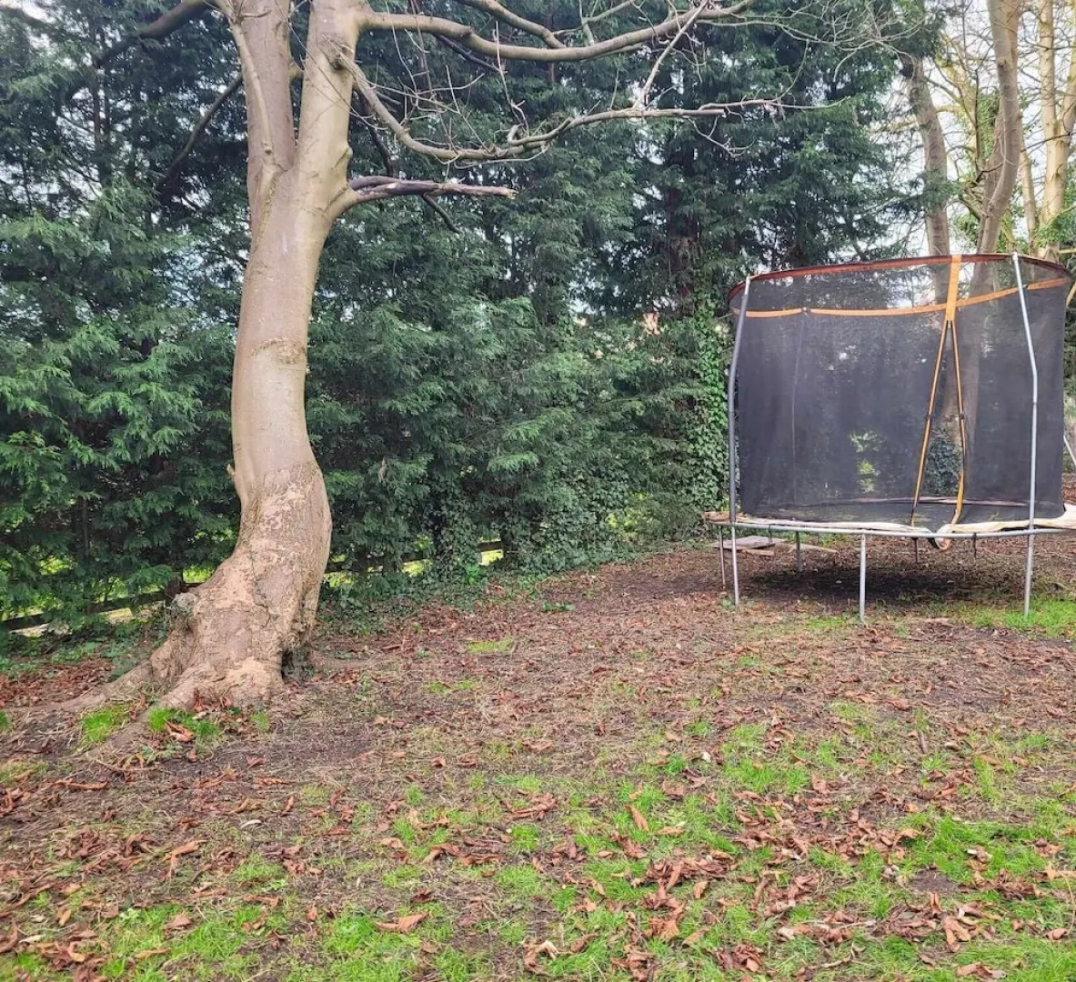 17th-century1bed/studio/petsok/garden/wifi