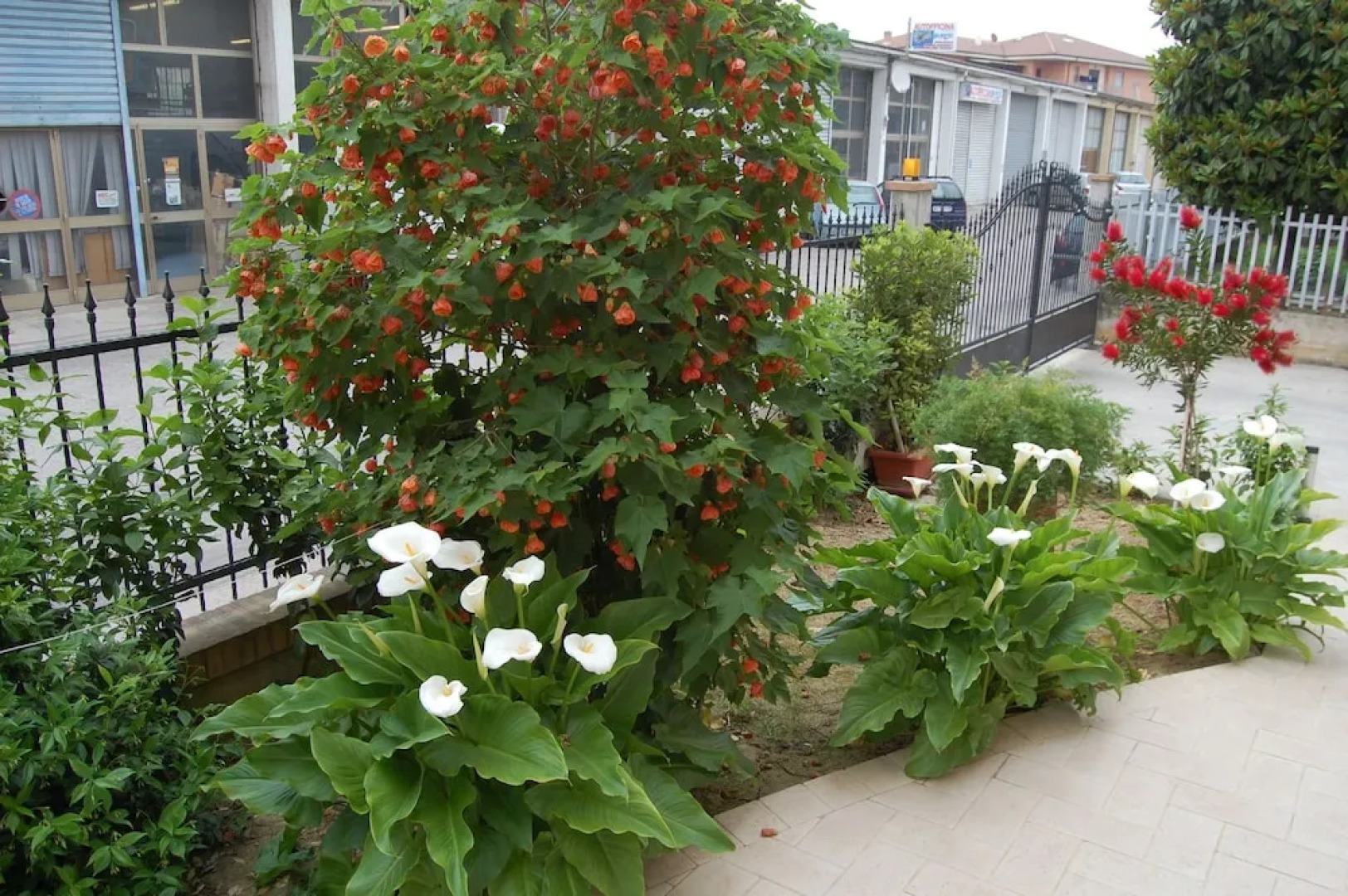 Affittacamere  Alla Tartaruga