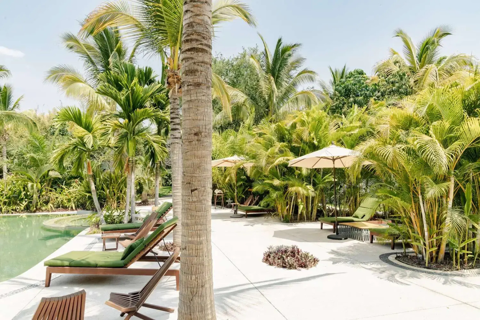 Soul Spring Sanctuary Cuernavaca