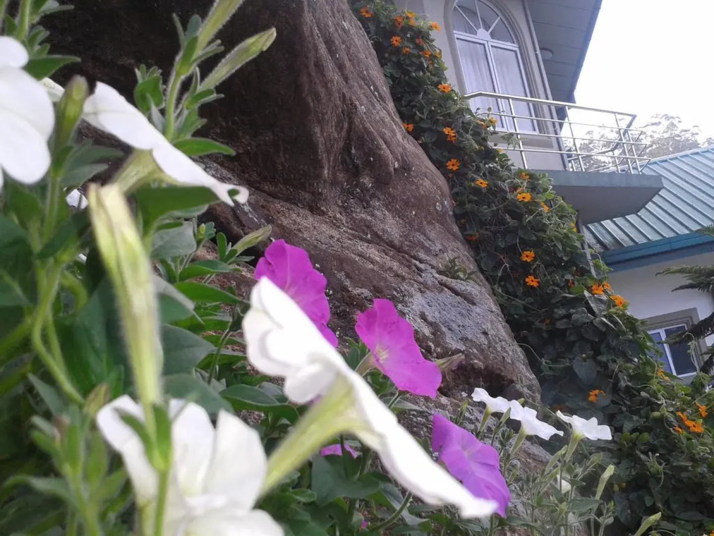 Qantara Hotel Nuwaraeliya