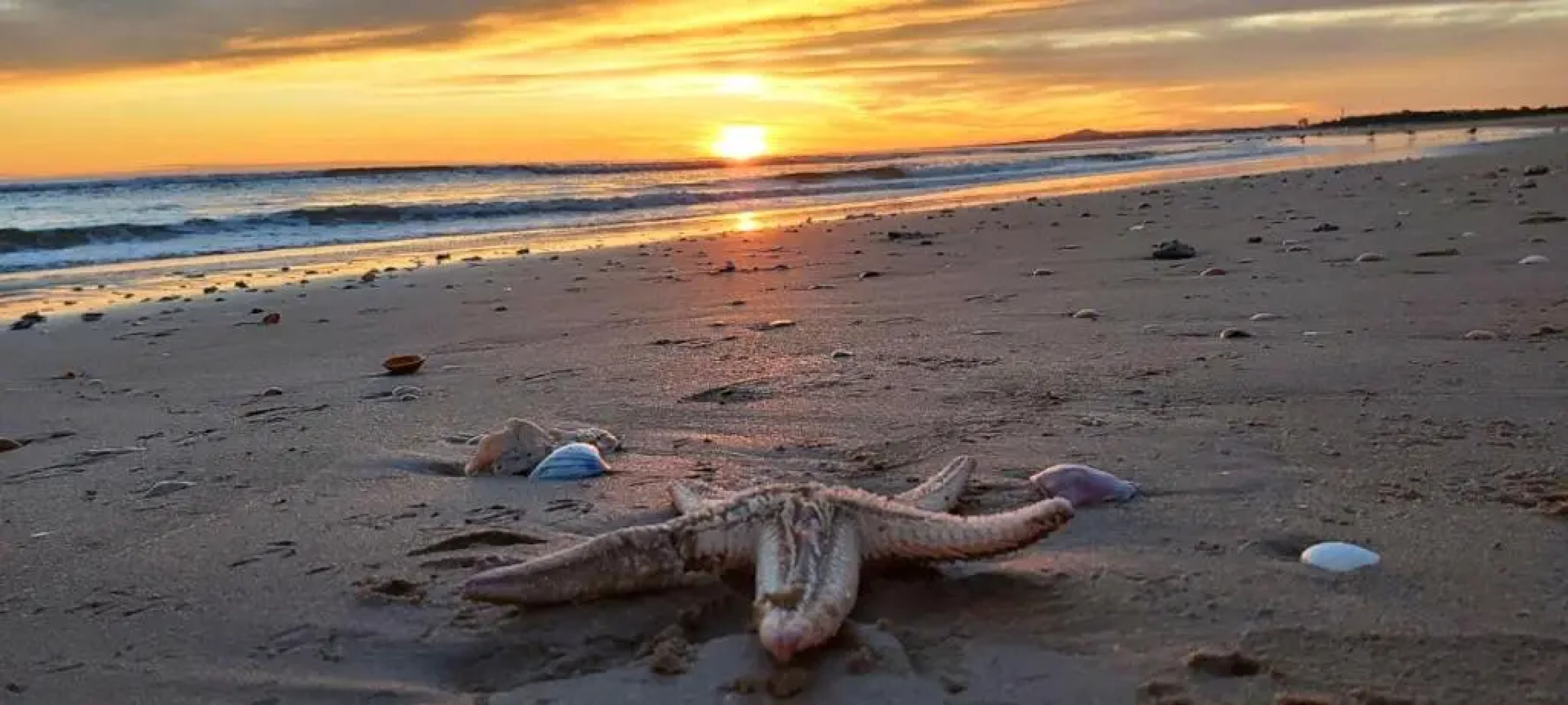 Parque dos Reis Apartment