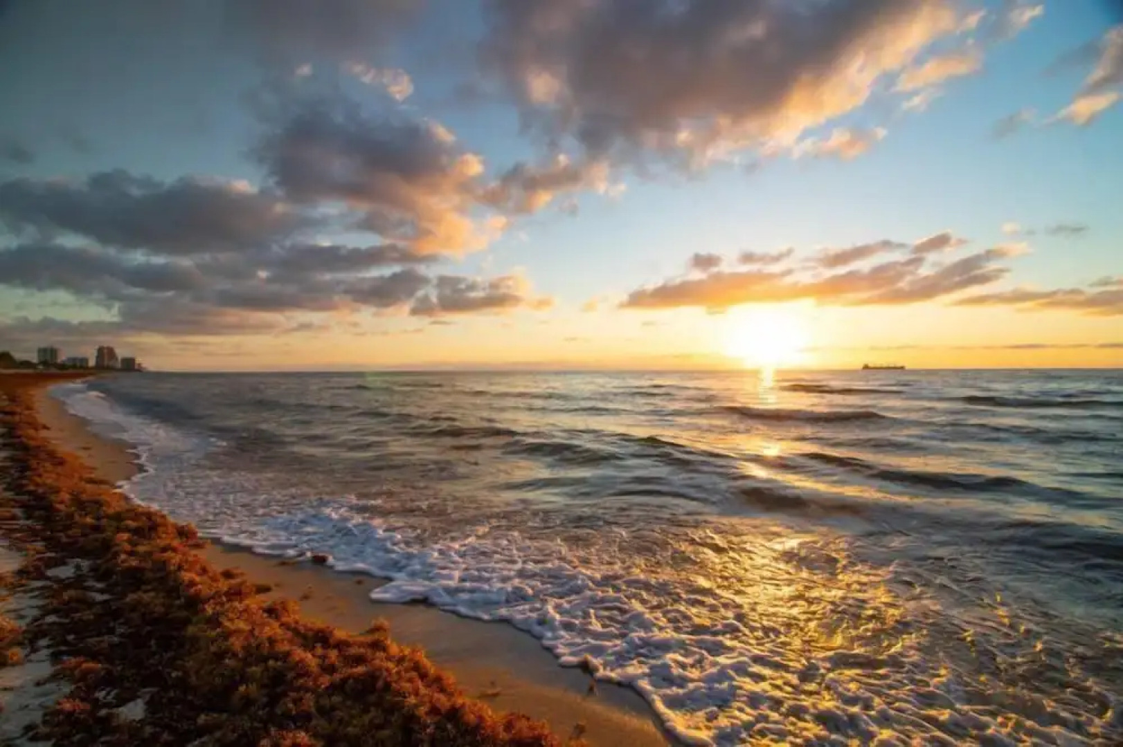 Wilton Way Orchid House