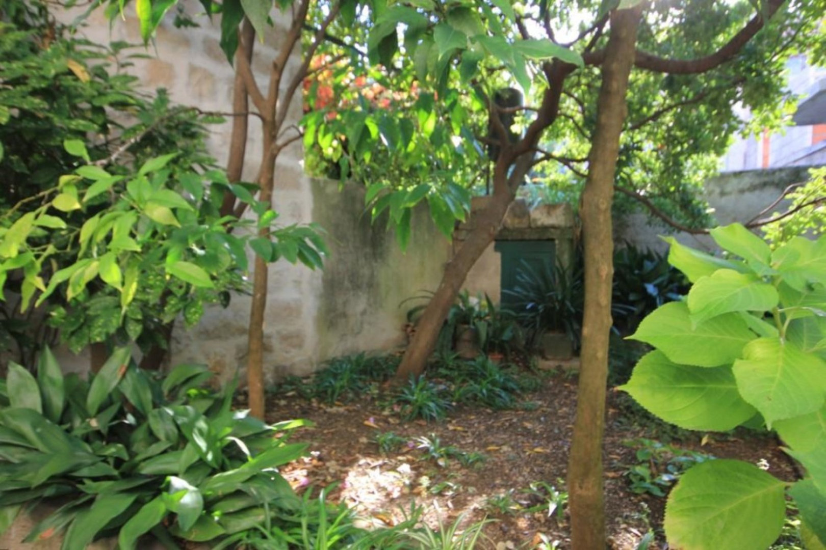 Holiday house Korta - 50 m from sea: Cavtat, Riviera Dubrovnik