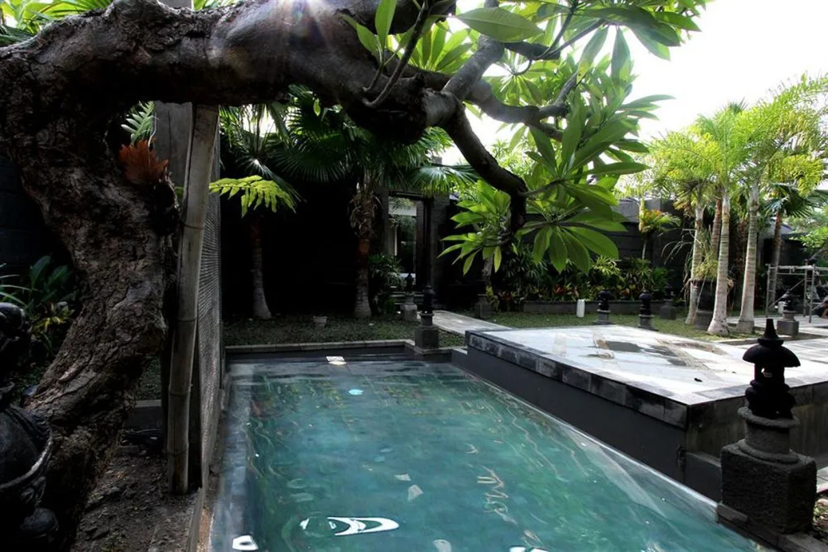 Gino Feruci Villa Lovina