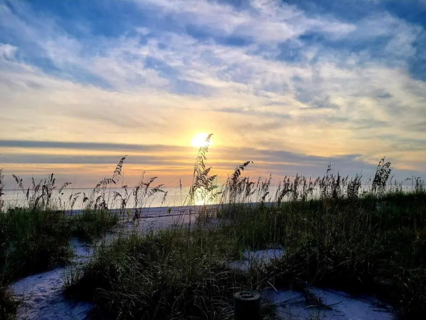 Spacious and private pool house, 15 min to beach