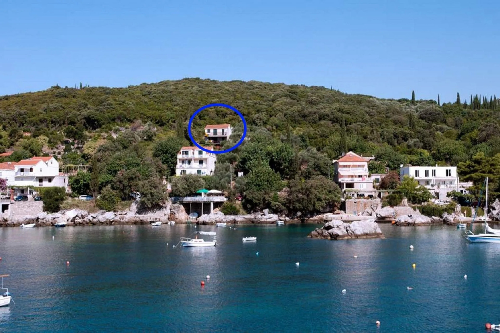 Apartment Iva - with nice view: A1 Molunat, Riviera Dubrovnik