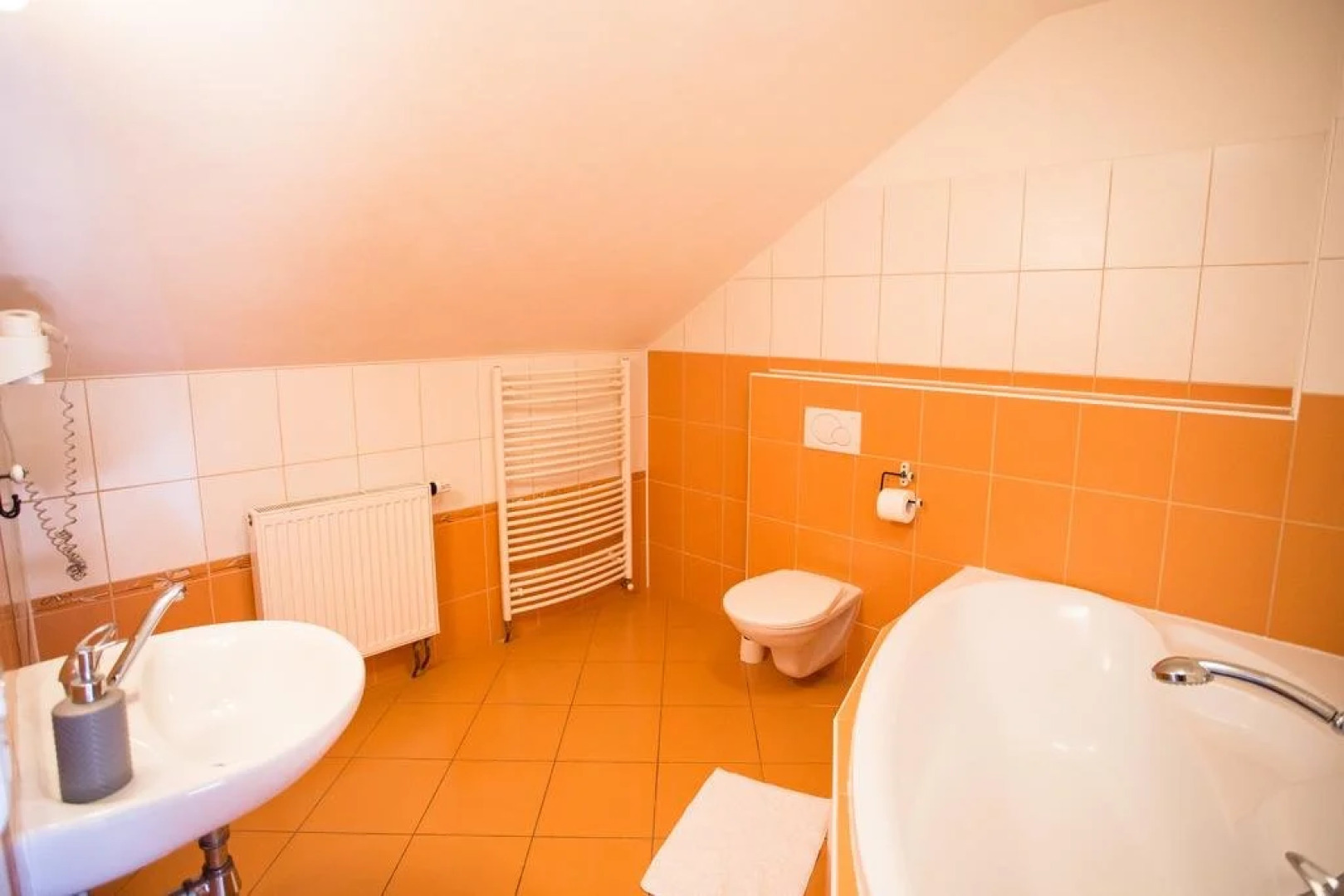 Penzion V Podzámčí Litomyšl