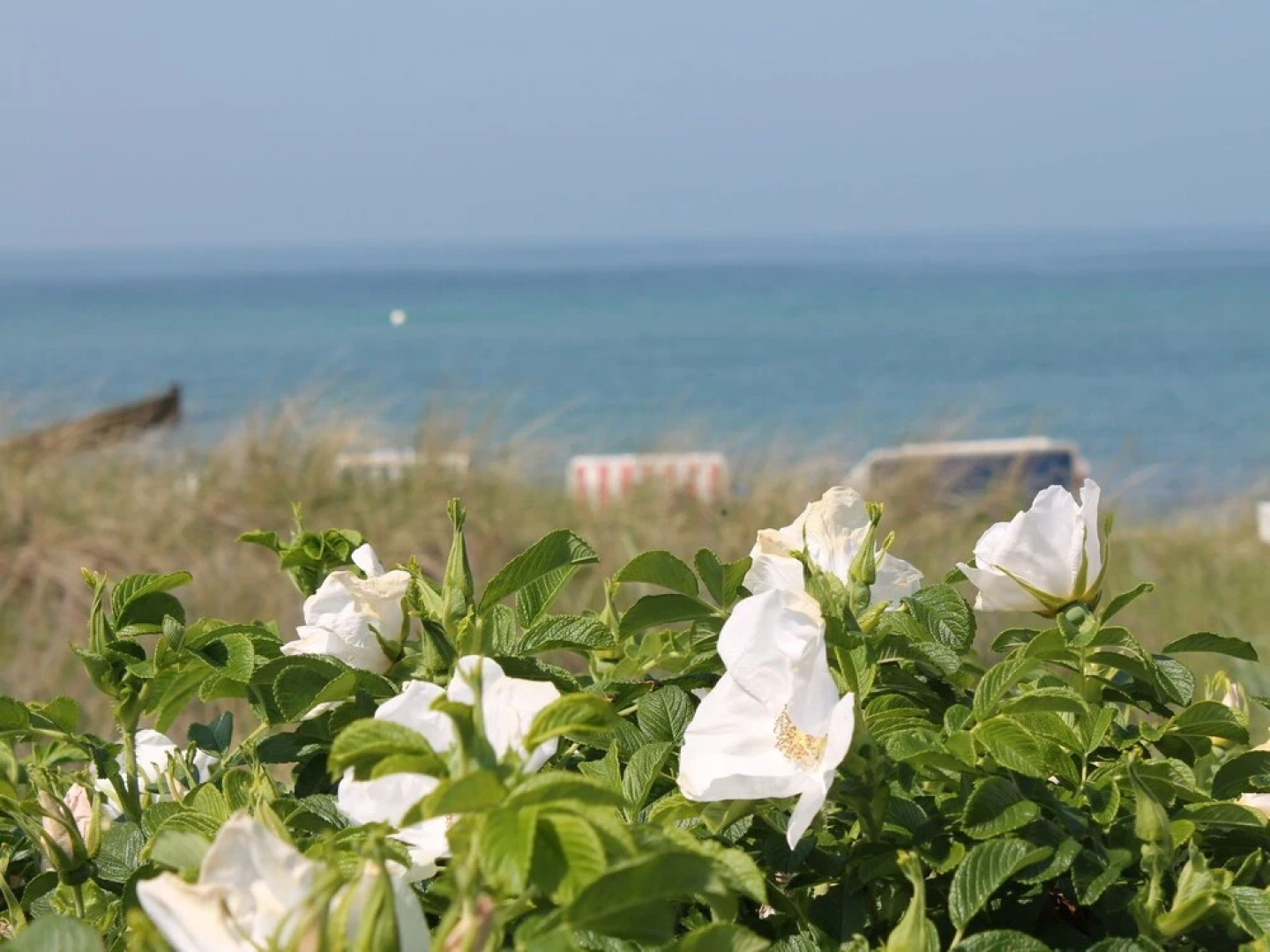 Quaint Apartment in Insel Poel near Beach